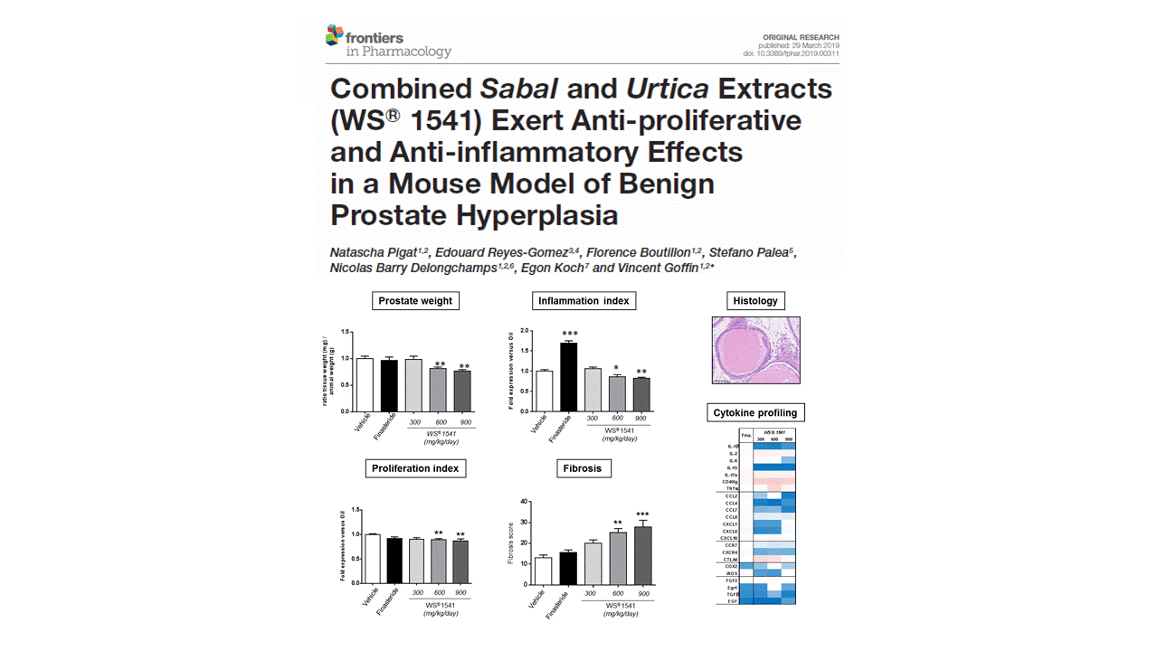 Nex experimental mod or BPH in mice